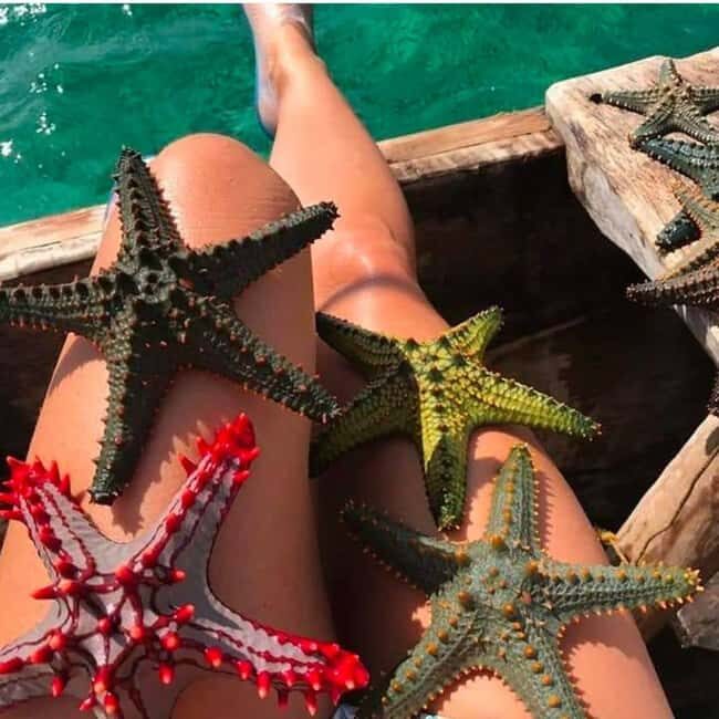 Zanzibar: Jozani Forest, Starfish Beach, & Rock Restaurant - The Itinerary in Detail