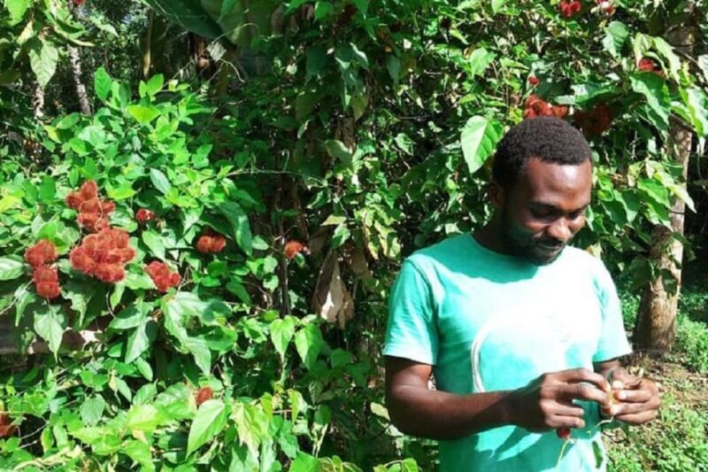 Zanzibar: Jozani Forest, Stone Town and Spice Farm Tour - The Sum Up