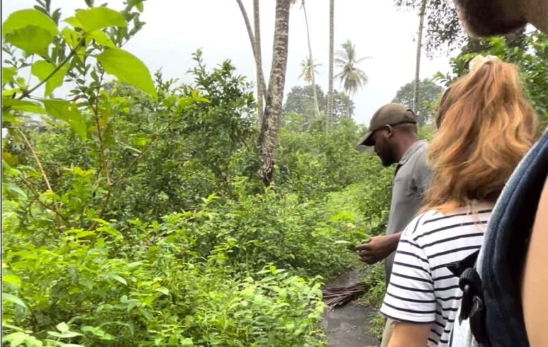 ZANZIBAR: JOZANI FOREST - A Closer Look at the Jozani Forest Tour