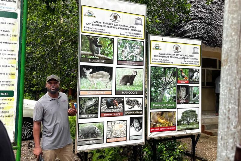 ZANZIBAR: JOZANI FOREST - Who Should Consider This Tour?