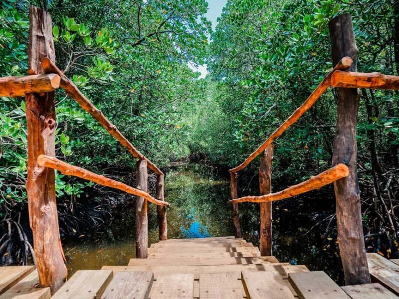 Zanzibar: Jozani Forest Watching Colobus Monkeys Guided Tour - FAQ