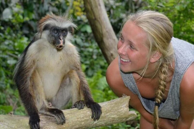 Zanzibar: Jozani Forest Watching Monkeys Half-Day Tour - Who Should Consider This Tour?