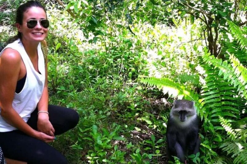 Zanzibar: Jozani Forest Watching Monkeys Half-Day Tour - Final Thoughts: Who Will Love This Tour?