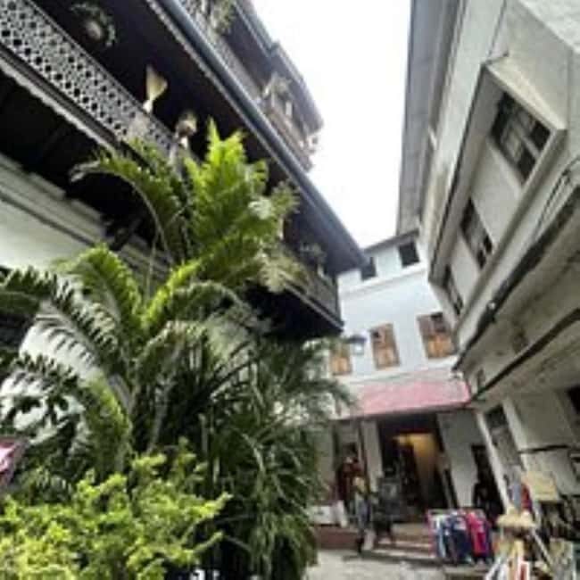 Zanzibar: Jozani forest with Stone town walking tour - In The Sum Up