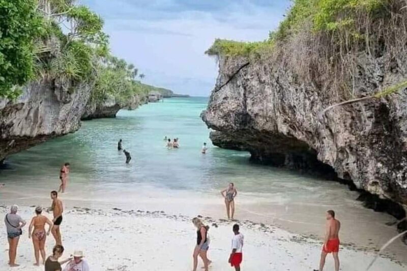 Zanzibar: Jozani Forest,Butterfly center and mtende beach - What to Expect from This Tour