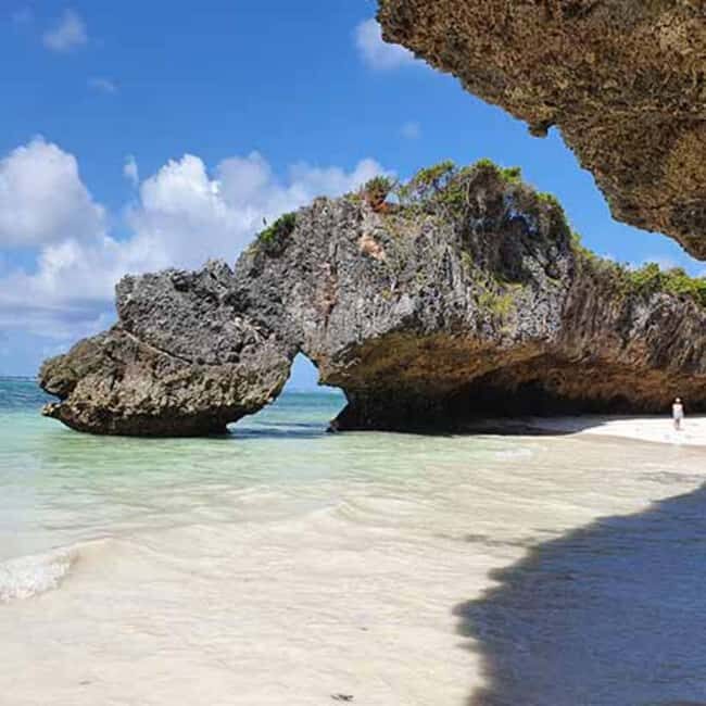 Zanzibar: Jozani Forest,butterfly center & Mtende beach tour - Frequently Asked Questions