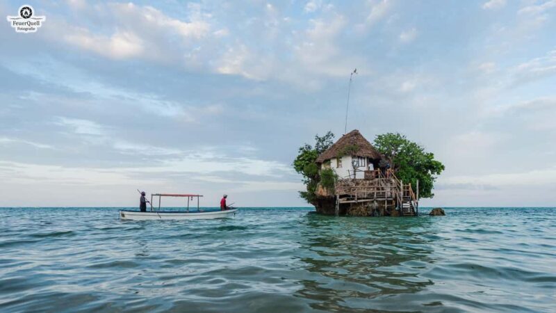 Zanzibar: Jozani Forest,Red colobus,the Rock Restaurant tour - Discovering the Mangroves: A Different Kind of Green