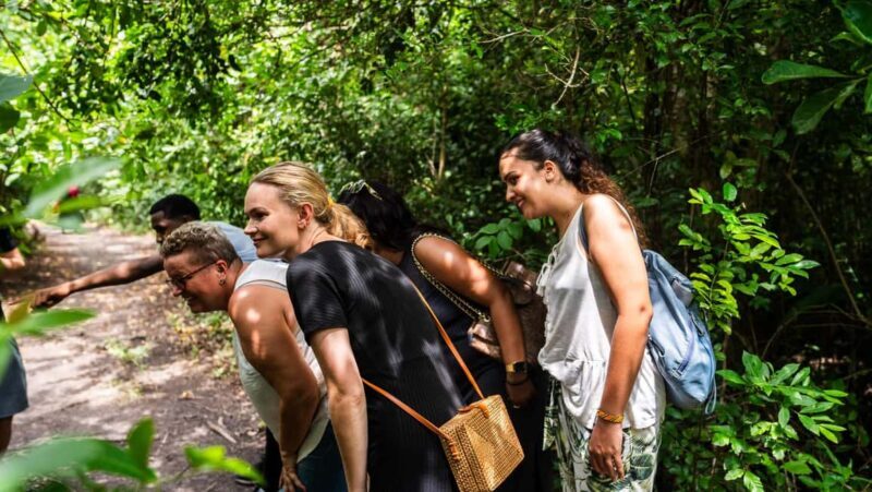 Zanzibar: Jozani Forest,Red colobus,the Rock Restaurant tour - The Reviews: Authentic Insights from Past Travelers