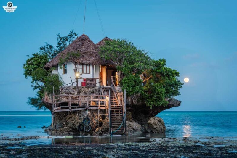 Zanzibar: Jozani Forest,Red colobus,the Rock Restaurant tour - The Sum Up