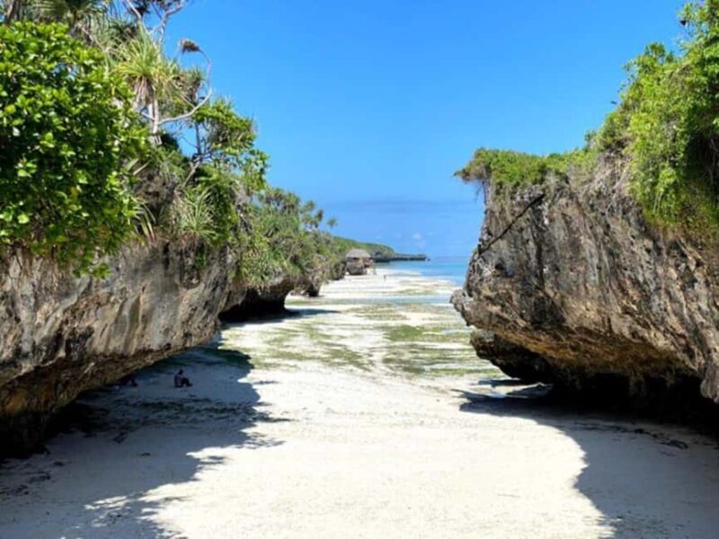 Zanzibar: Jozani Forest,saalam cave and Mtende beach - Key Points