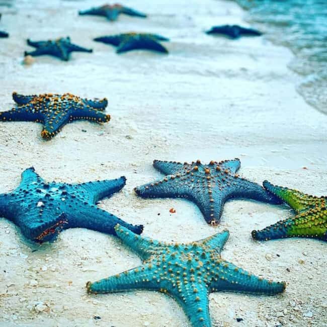 ZANZIBAR: Jozani Forest,Salaam Cave, The Rock & Blue Lagoon - Final Thoughts