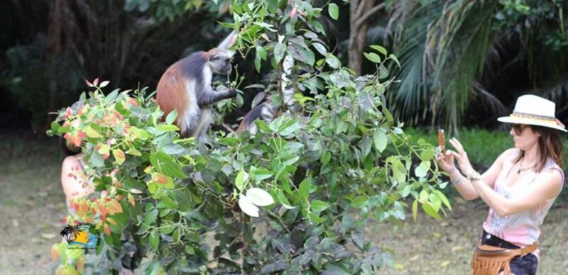 Zanzibar: Jozani National Park & Butterflies Guided Tour - Diving Deep into the Experience