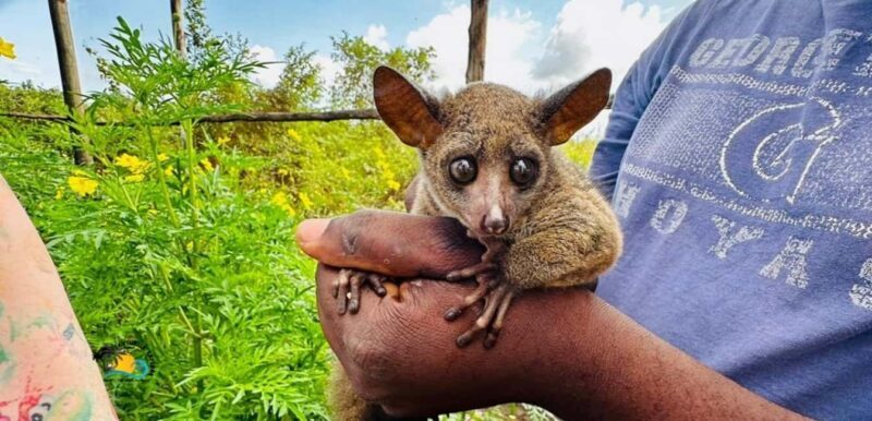 Zanzibar: Jozani National Park & Butterflies Guided Tour - FAQs