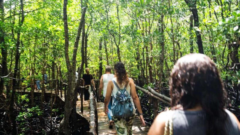Zanzibar: Jozani Red Colobos Monkey & Salaam Turtle Santuary - An In-Depth Look at the Tour Experience