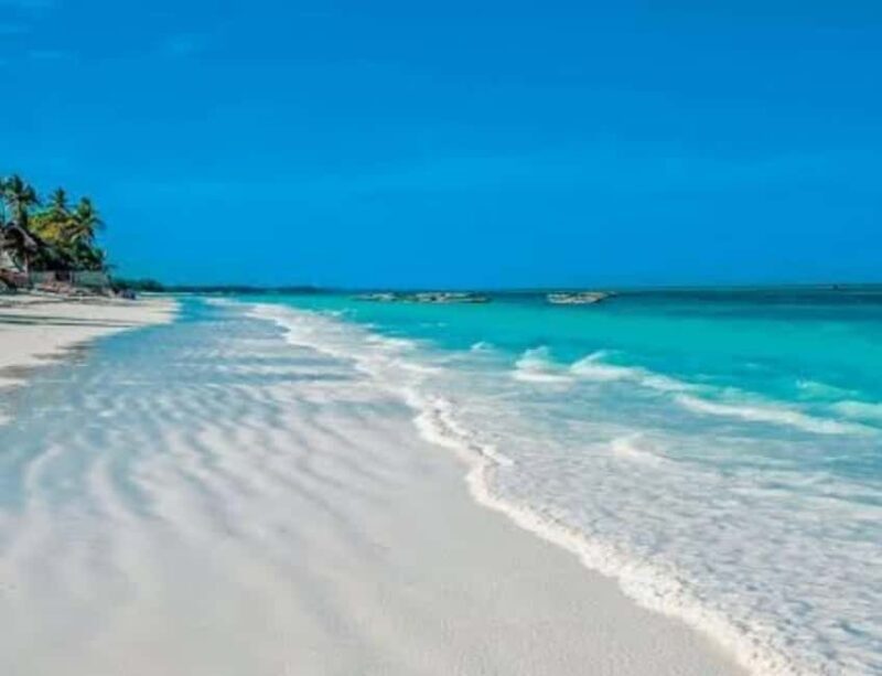 Zanzibar: Kiwengwa Forest and Beach Tour - The Sum Up