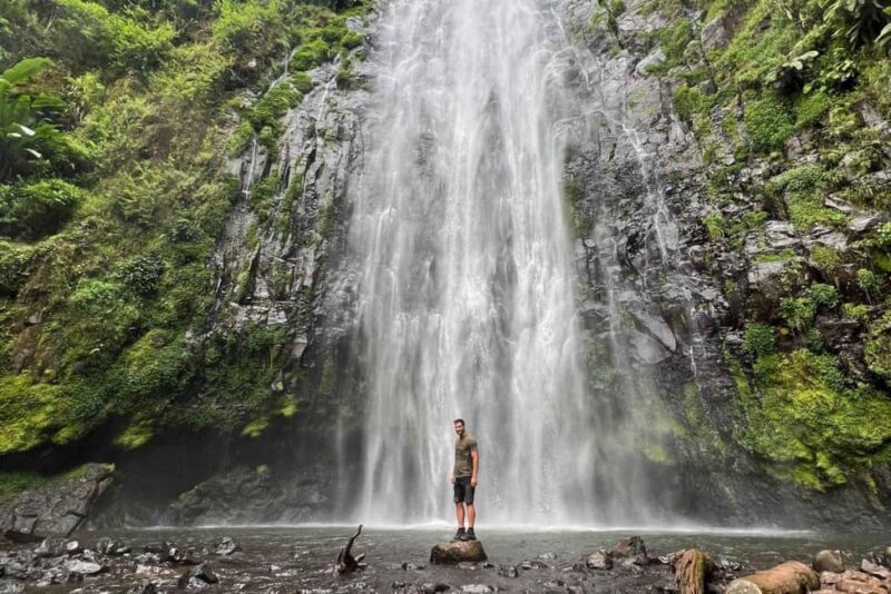Zanzibar: Kiwengwa Forest and Caves Day Trip - An In-Depth Look at the Kiwengwa Forest and Caves Day Trip