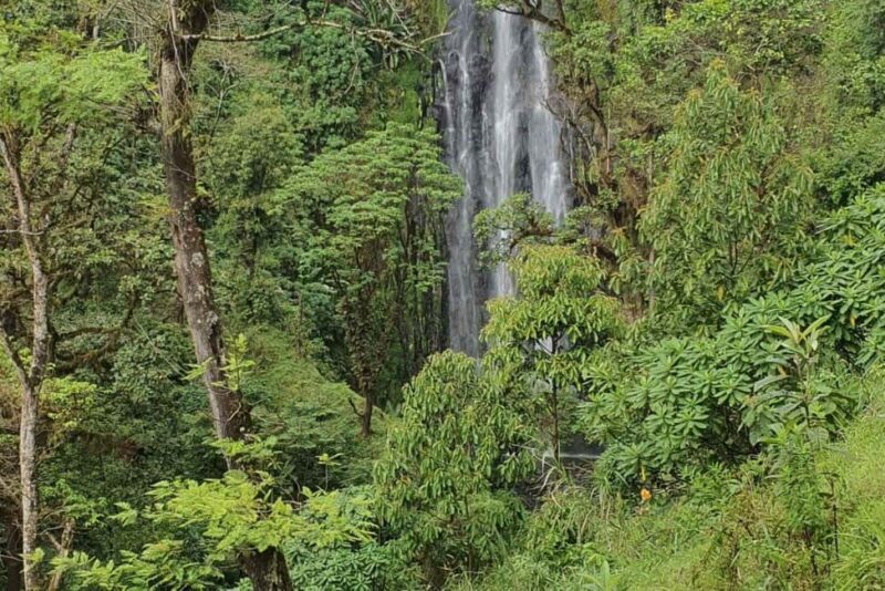 Zanzibar: Kiwengwa Forest and Caves Day Trip - The Sum Up