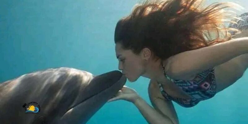 Zanzibar: Kizimkazi Dolphins Tour with Swimming & Snorkeling - An Authentic Zanzibar Experience: What to Expect