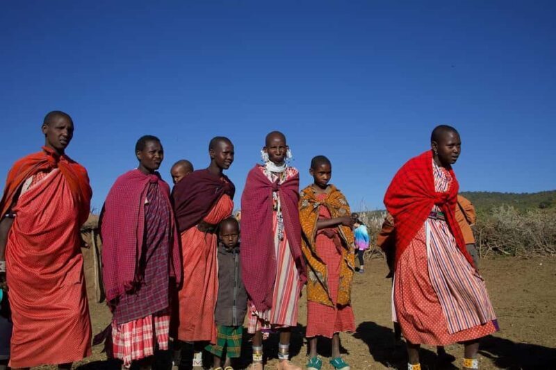 Zanzibar: Maasai World, Turtles Swimming & Village Tour - Key Points