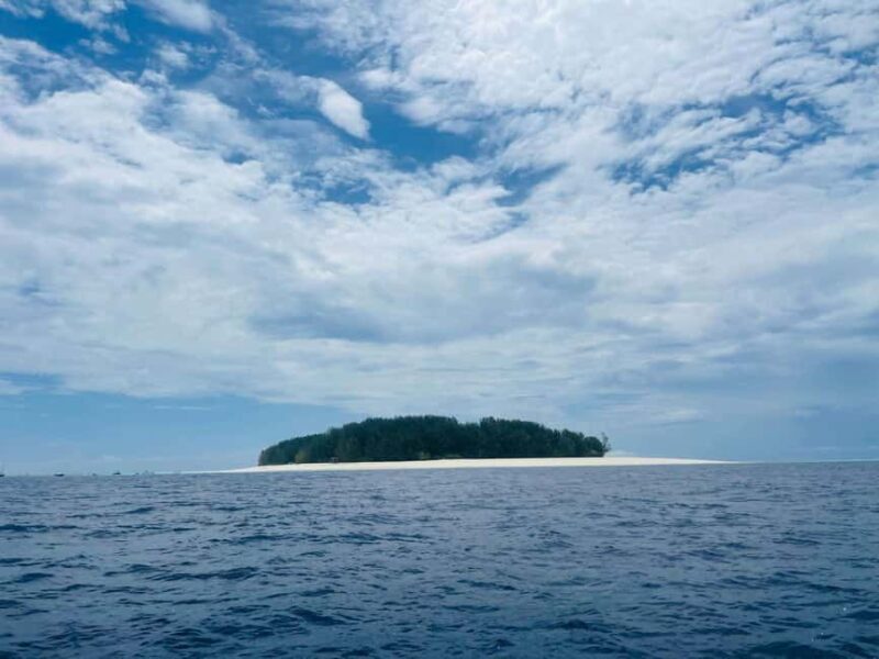 Zanzibar: Mangrove Forest Eco-Kayak Tour - Exploring Zanzibar’s Mangrove Ecosystems