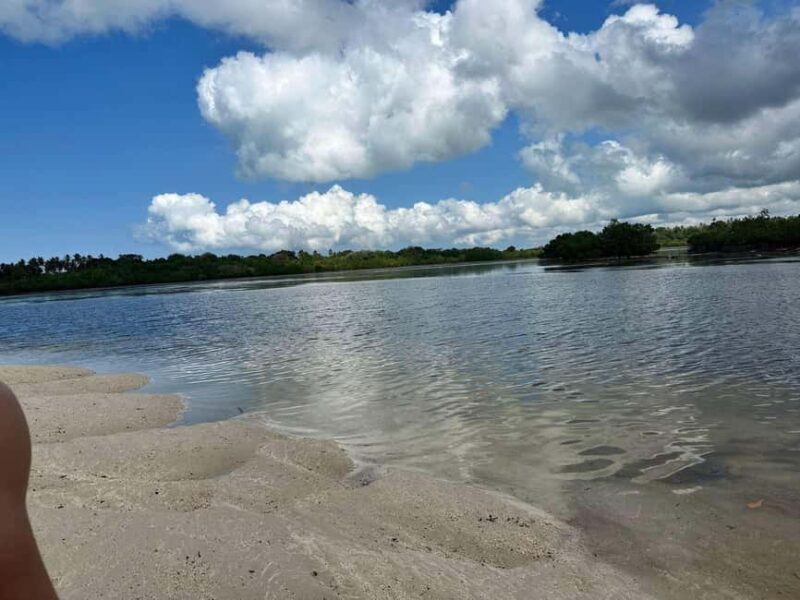 Zanzibar: Mangrove Forest Eco-Kayak Tour - Practical Details