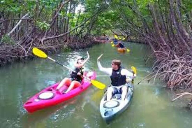Zanzibar: Mangrove Forest Kayaking Tour & Paje Beach Visit - Key Points