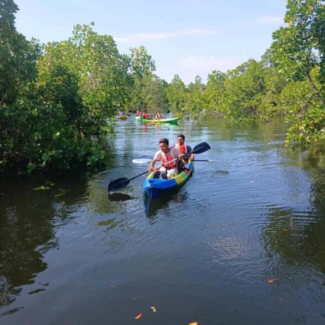 Zanzibar: Mangrove kayaking and turtle swim at Salaam Cave - Key Points