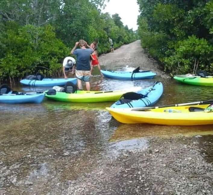 ZANZIBAR: Mangrove Kayaking Tour with Lunch - A Deep Dive into the Mangrove Kayaking Experience