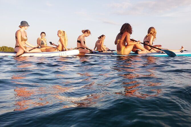 Zanzibar Memorable & Unique Guided Mangrove Tour by SUP or Kayak - Who Will Love This Experience?