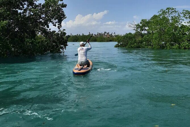 Zanzibar Memorable & Unique Guided Mangrove Tour by SUP or Kayak - FAQ