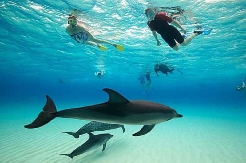 Zanzibar: Menemba island, Jozazi forest and Sea turtles tour - Exploring Zanzibar’s Natural Treasures