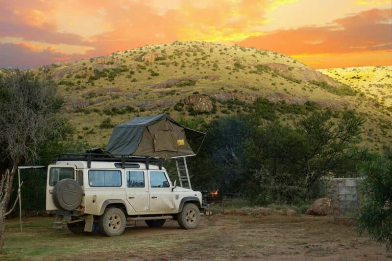 Zanzibar: Mikumi National Park 2-Day Safari with Flights - Key Points