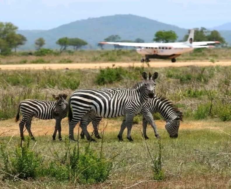 Zanzibar: Mikumi National Park Day Trip with Flights - The Itinerary: A Closer Look