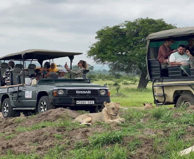 Zanzibar: Mikumi National Park Day Trip with Flights - Practical Details & Tips