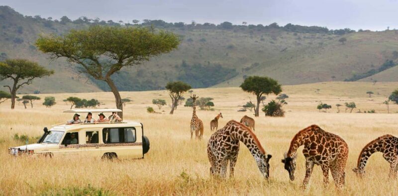 Zanzibar: Mikumi Safari and Udzungwa Waterfall - An In-Depth Look at the Tour Experience