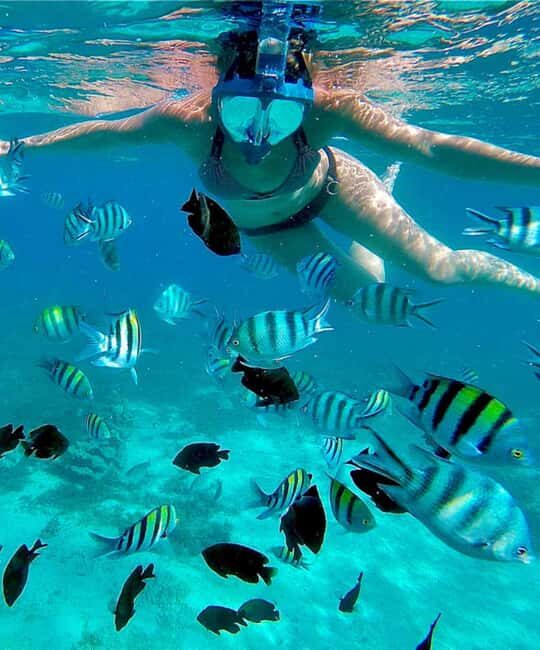 ZANZIBAR: Mnemba: African Maldives Day Tour with Lunch - A Closer Look at the Mnemba Island Day Tour