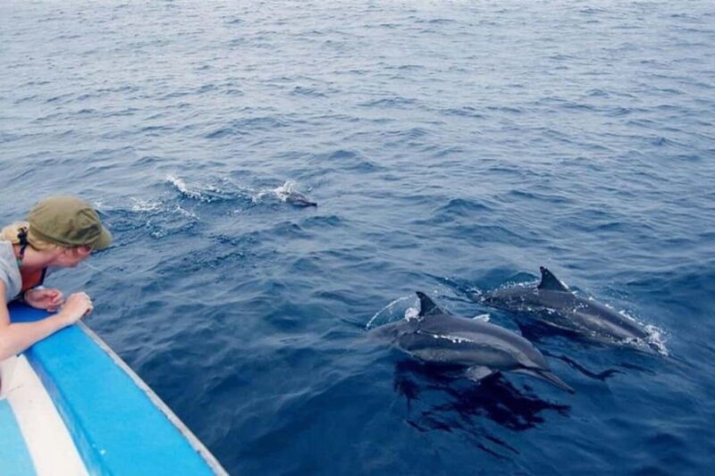 Zanzibar: Mnemba Atoll Dolphin Watching & Snorkeling Tour - Practical Tips for the Tour
