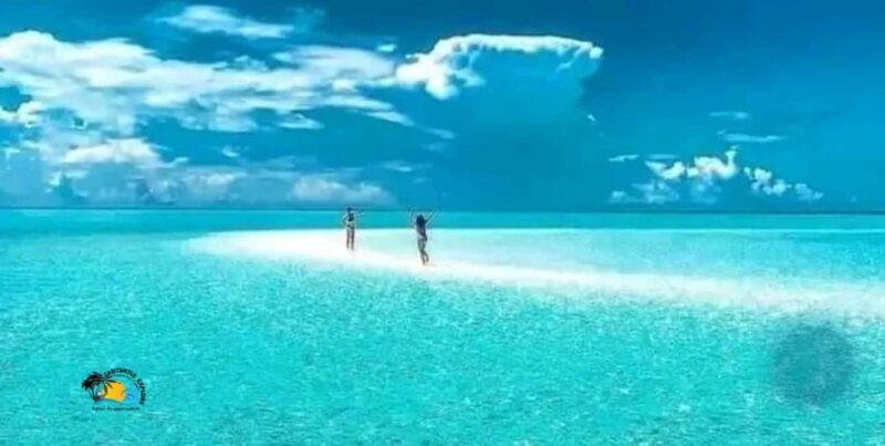 Zanzibar: Mnemba Atoll Swimming & Snorkeling with Dolphins - Key Points