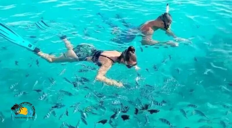 Zanzibar: Mnemba Atoll Swimming & Snorkeling with Dolphins - Final Thoughts