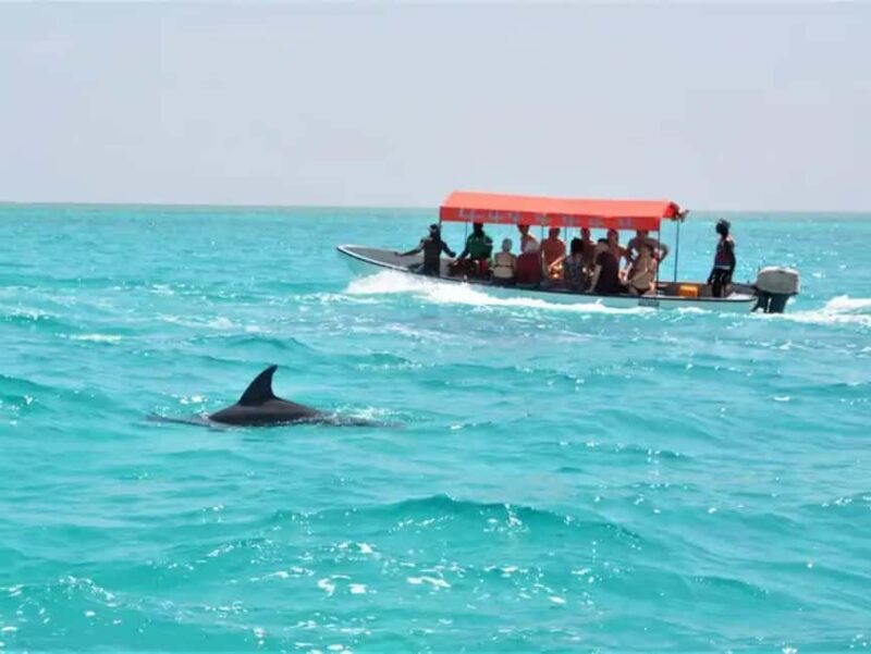Zanzibar: Mnemba Dolphin Trip, Stone Town & Prison Island - An In-Depth Look at the Tour