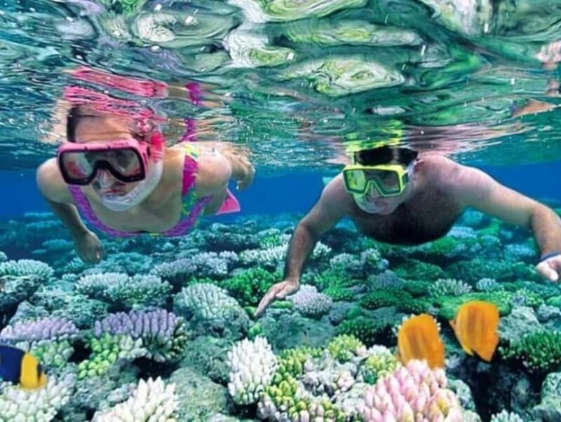 Zanzibar: Mnemba Dolphin Trip, Stone Town & Prison Island - Who Should Consider This Tour?