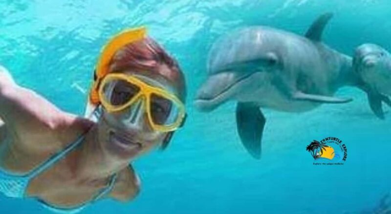 Zanzibar: Mnemba Dolphins & Sunset Dhow Cruise with Lunch - Final Thoughts