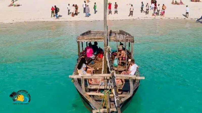 Zanzibar: Mnemba Dolphins Tour and Sunset Dhow Cruise - The Sum Up
