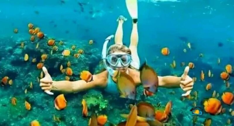 Zanzibar: Mnemba Dolphins Tour with Snorkeling and Sandbank - Practical Tips for Participants