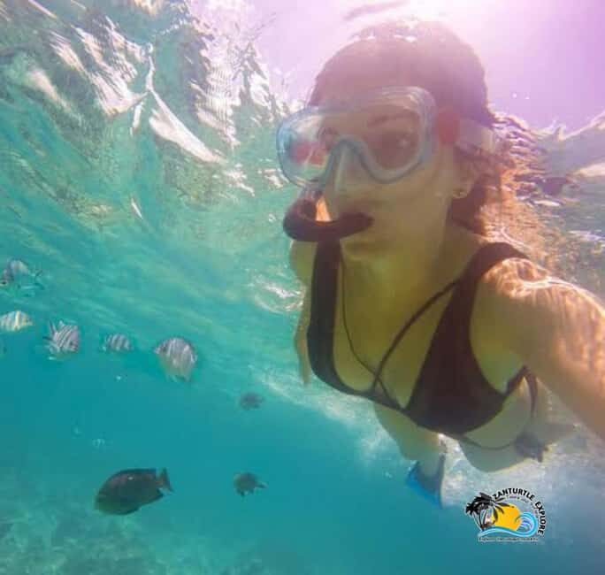 Zanzibar: Mnemba Dolphins Tour with Snorkeling and Sandbank - The Sum Up
