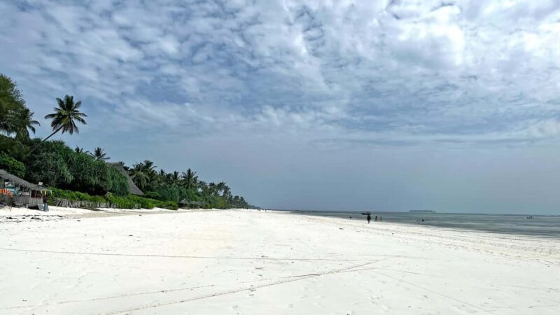 ZANZIBAR: MNEMBA ISLAND DOLPHIN AND SNORKELING - The Experience on the Water