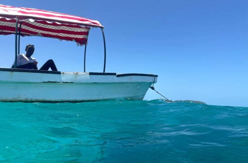 ZANZIBAR: MNEMBA ISLAND DOLPHIN AND SNORKELING - Who This Tour Is Best For
