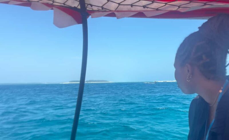 ZANZIBAR: MNEMBA ISLAND DOLPHIN AND SNORKELING - The Sum Up