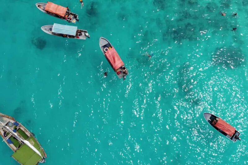 Zanzibar: Mnemba Island Dolphin and Snorkeling Tour - Key Points