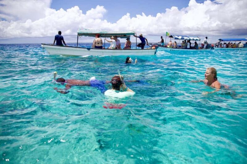 Zanzibar: Mnemba Island Dolphin Watching and Sunset Cruise - Key Points